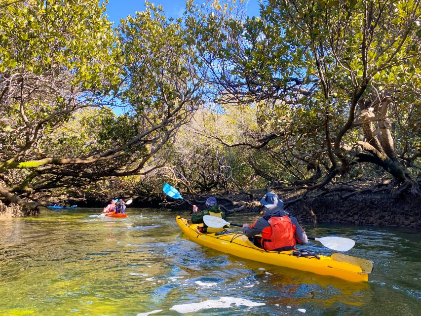 Dolphin Sanctuary and Ships Graveyard Kayak Tour - Safety Precautions