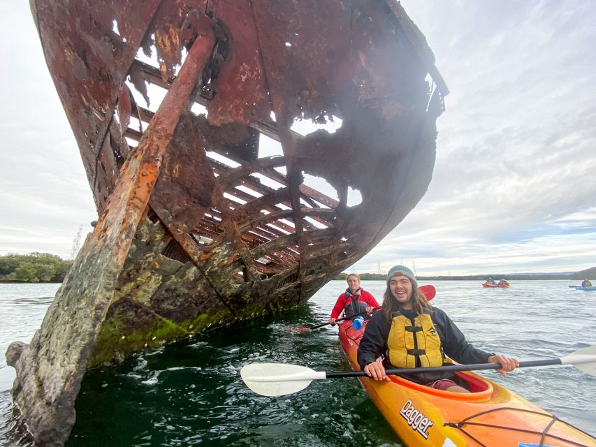 Dolphin Sanctuary and Ships Graveyard Kayak Tour - Frequently Asked Questions