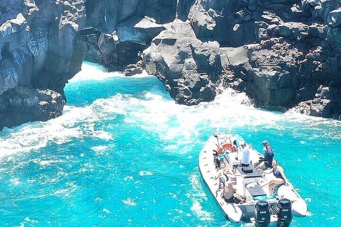 Dolphin, Sea Cave, Captain Cook, Kealakekua Bay Reef Snorkeling - Adventuring Through Hidden Sea Caves