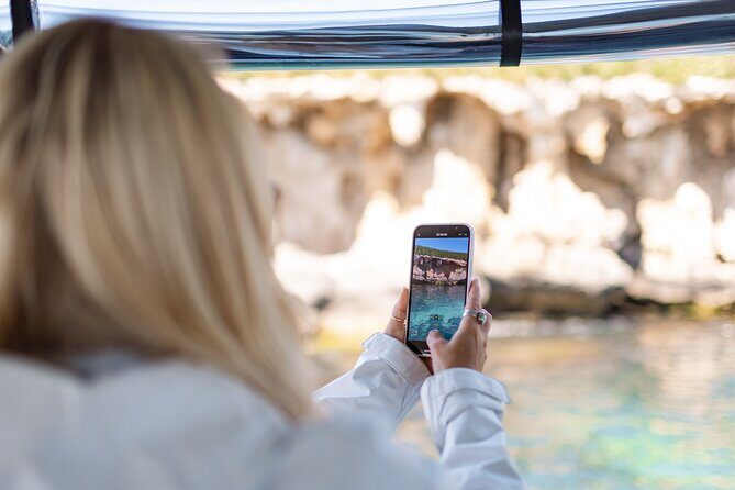 Dolphin, Sea Lion and Penguin Island Cruise - The Real Value: What This Tour Offers and What It Doesn’t