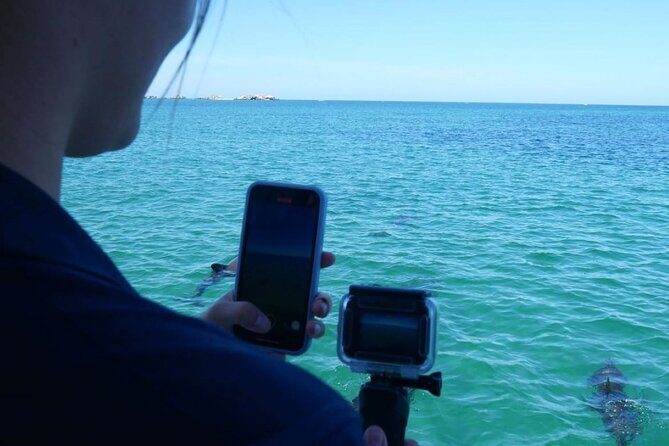 Dolphin, Sea Lion and Penguin Island Cruise - FAQ