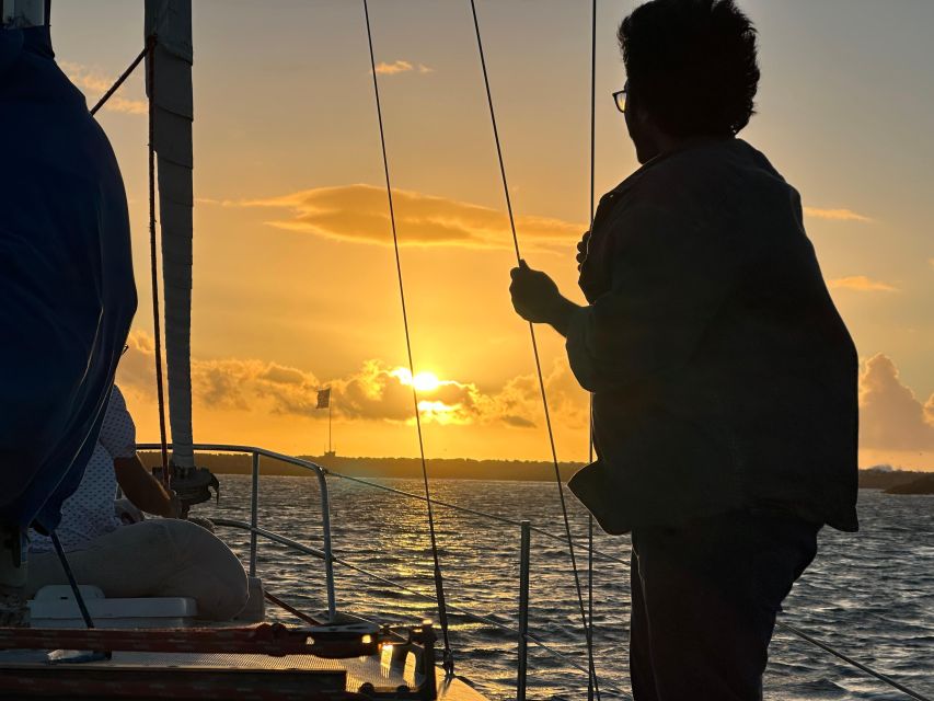 Dolphin Sighting Sunset Tour - Sunset Dolphin Viewing