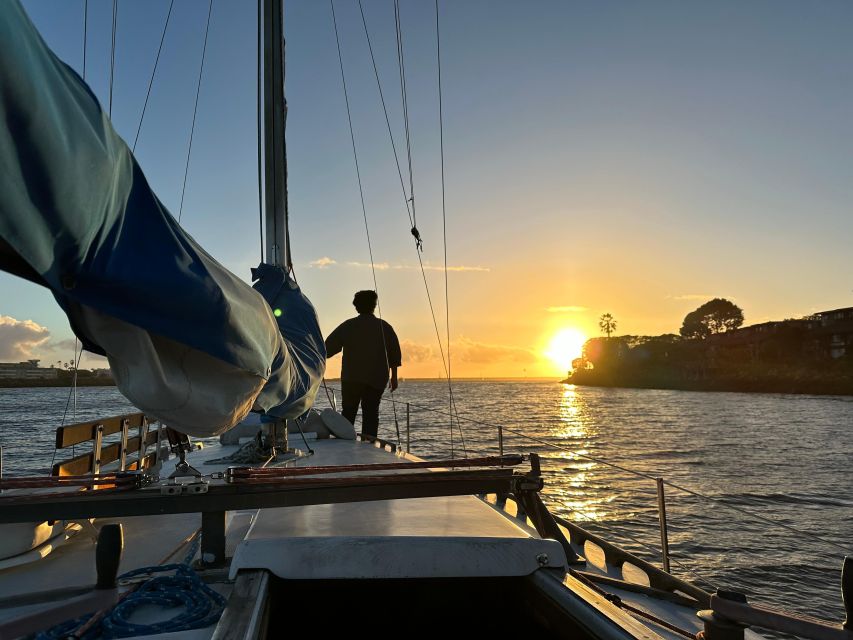 Dolphin Sighting Sunset Tour - Cruise Experience