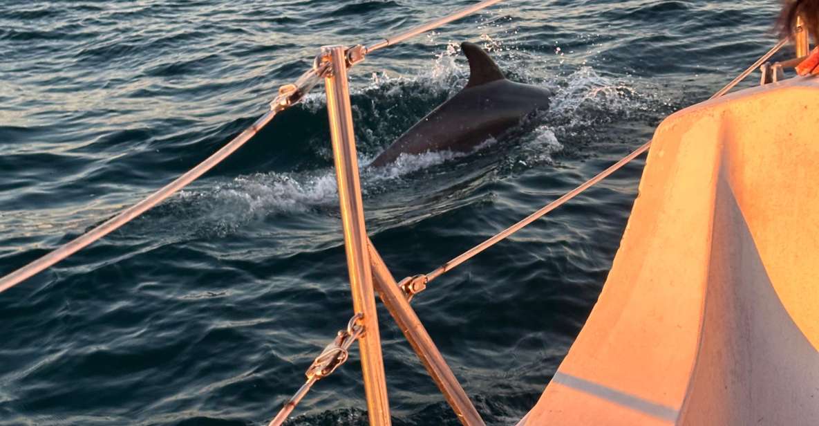 Dolphin Sighting Sunset Tour - Highlights and Inclusions