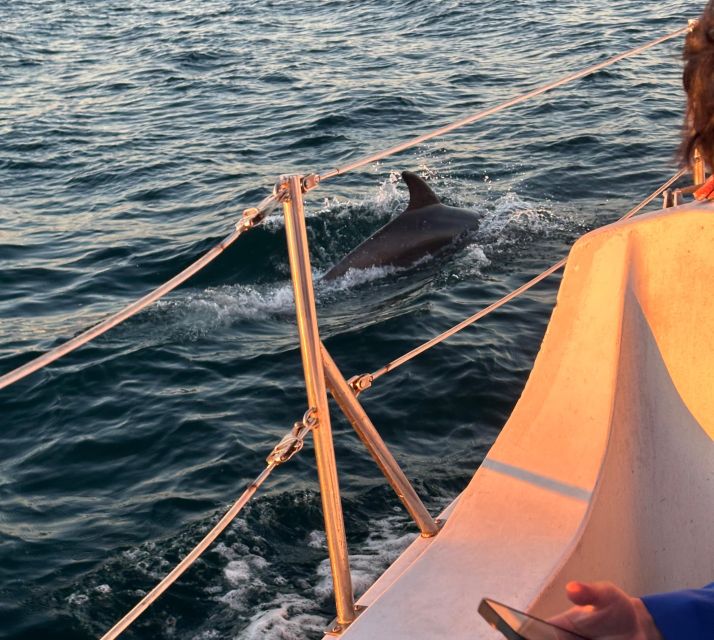 Dolphin Sighting Sunset Tour - Recap
