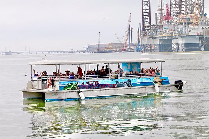 Dolphin Sightseeing Tour With Guide - Reviews