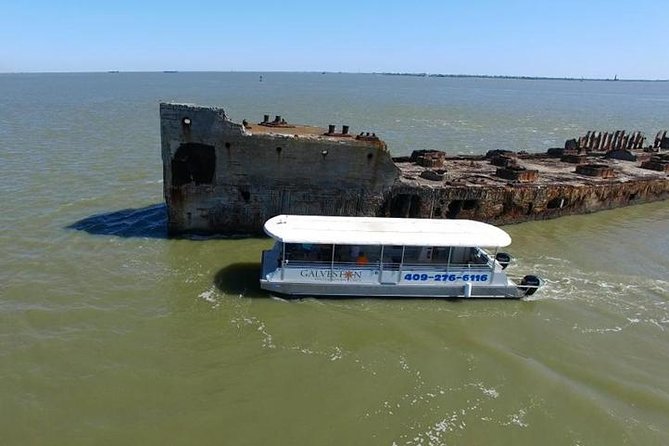 Dolphin Sightseeing Tour With Guide - Frequently Asked Questions