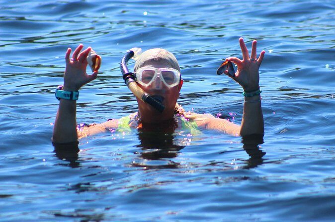 Dolphin Snorkel Tour - FAQ