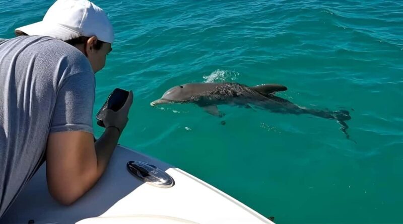 Dolphin & Snorkeling Key West - An Honest Look at the Experience