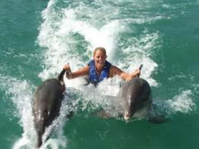 Dolphin Swim Adventure - An Introduction to the Dolphin Swim Adventure in Jamaica