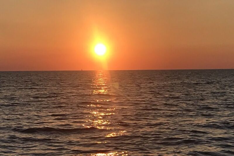 Dolphin Tour 85% chance - All inclusive Drinks + Dinner - Final Thoughts