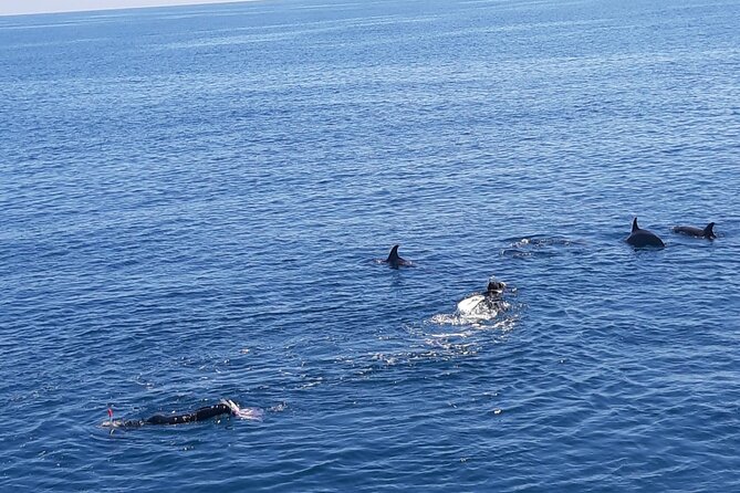 Dolphin Tour & Banana Boat Fun With Snorkeling From Hurghada - Tips for an Enjoyable Tour
