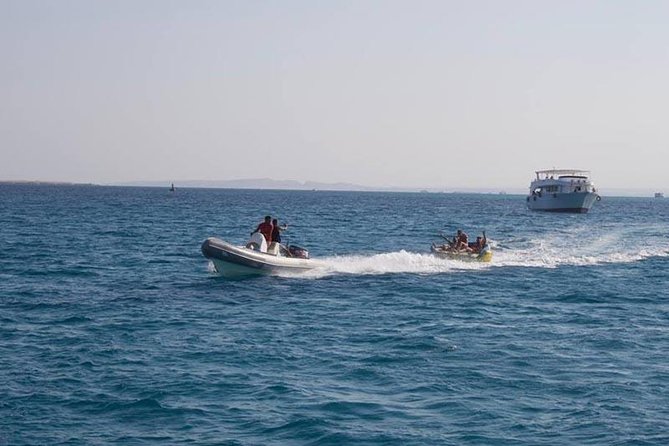 Dolphin Tour in Hurghada - Traveler Ratings and Reviews