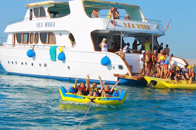 Dolphin Tour in Hurghada - Wildlife Encounters
