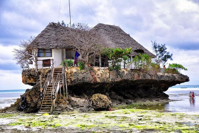 Dolphin Tour; Kuza Cave Tour; Paje Beach; The Rock Restaurant; Jozani Forest - Dolphin Tour Experience