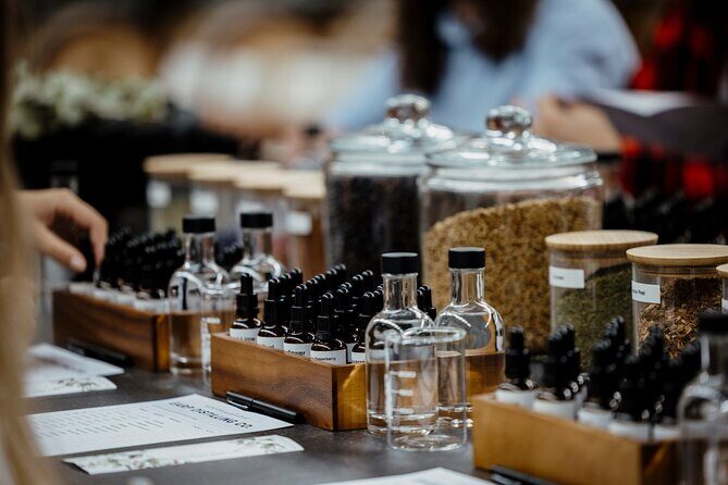 Dolphin Watch + Sailing - Port Stephens - Who Will Love This Tour?