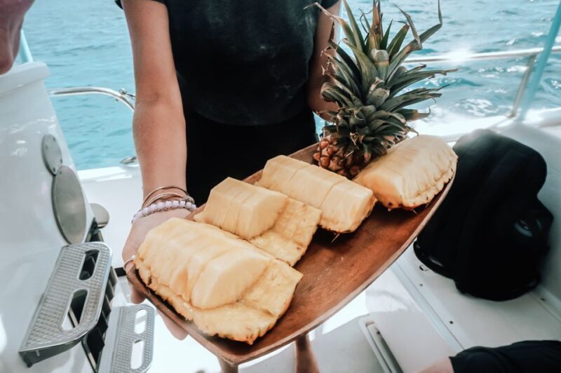 Dolphin Watch Snorkel and BBQ in Kona, Big Island - Exploring Kona’s Marine Wonders: Dolphin Watch Snorkel and BBQ Experience