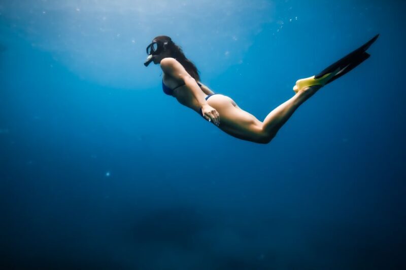 Dolphin Watch Snorkel and BBQ in Kona, Big Island - Introduction: What to Expect from the Kona Dolphin Snorkel Tour