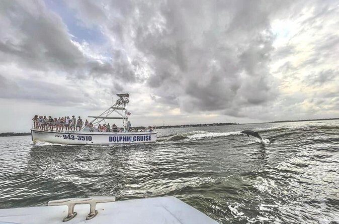 Dolphin Watching aboard the Cold Mil Fleet - Timing and Duration: Perfect for a Quick Getaway