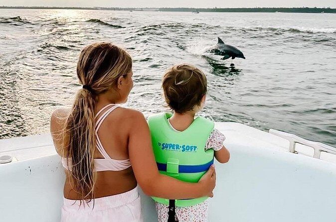 Dolphin Watching aboard the Cold Mil Fleet - Practical Tips for Travelers