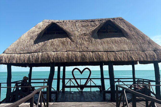 Dolphin watching by private boat from Isla Aguada - Key Points