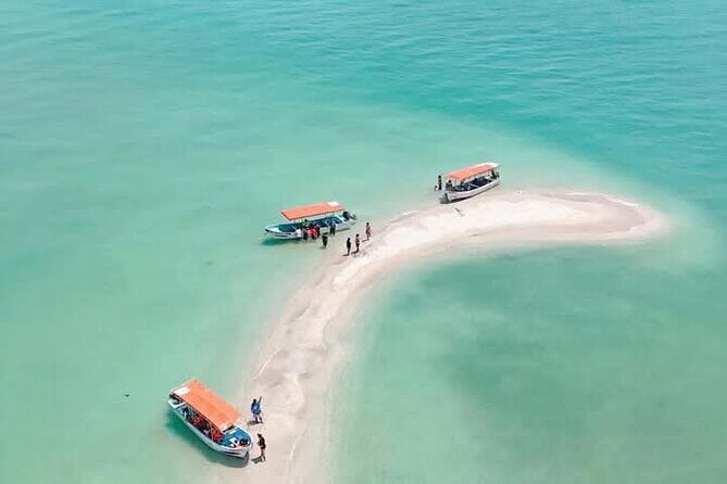 Dolphin watching by private boat from Isla Aguada - The Detailed Experience: What to Expect on the Tour