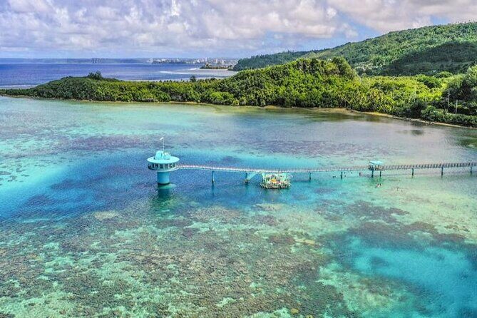 Dolphin Watching Cruise with Underwater Observatory Viewing - FAQ