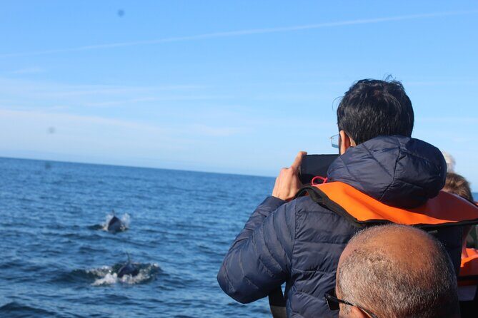 Dolphin Watching from Faro - Final Thoughts