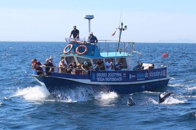 Dolphin Watching in Gibraltar With the Blue Boat Dolphin Safari - Frequently Asked Questions