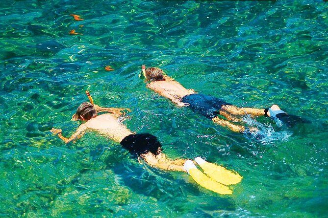 Dolphin Watching in Majorca - The Crew and Service