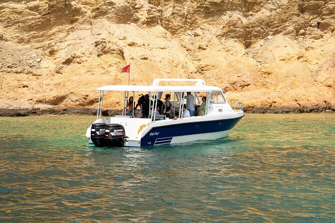 Dolphin Watching in Muscat - Traveler Reviews and Feedback