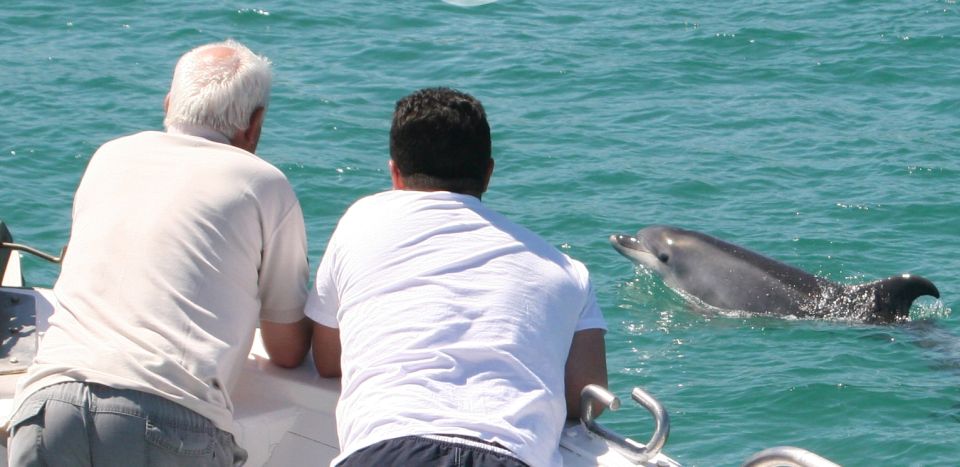 Dolphin Watching in the Wild - Half Day Private Tour - Mobility Considerations