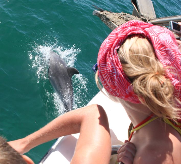 Dolphin Watching in the Wild - Half Day Private Tour - Frequently Asked Questions