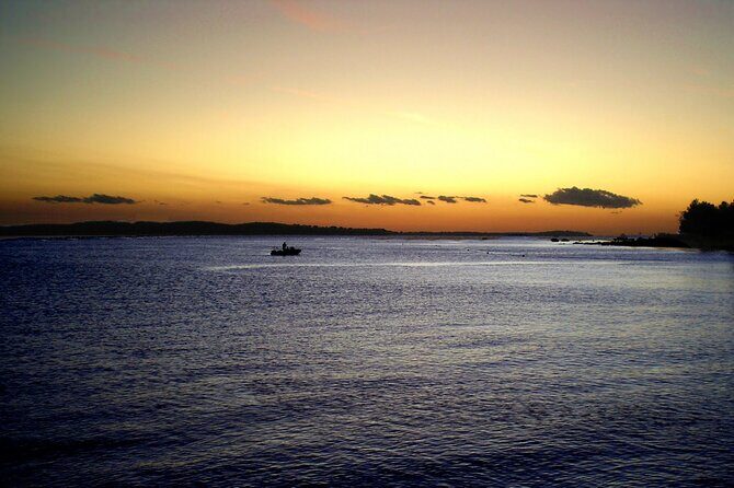 DOLPHIN WATCHING | Pula Boat - Who Should Consider This Tour?