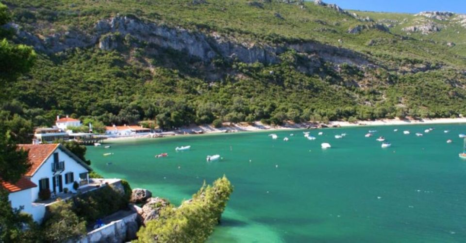 Dolphin Watching: Sesimbra / Arrábida Natural Park - Inclusions