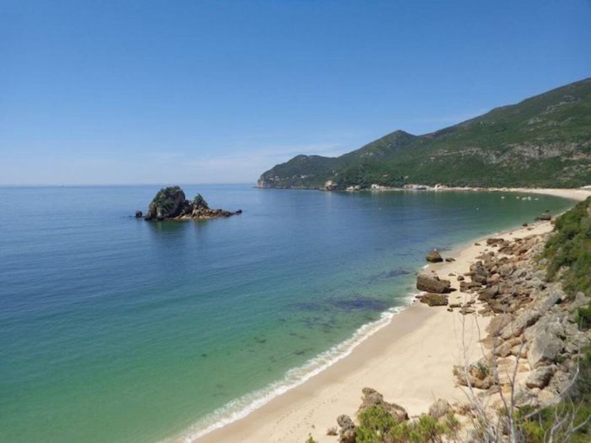 Dolphin Watching: Sesimbra / Arrábida Natural Park - Dolphin Sighting Guarantee