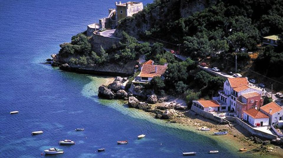 Dolphin Watching: Sesimbra / Arrábida Natural Park - Professional Local Guides