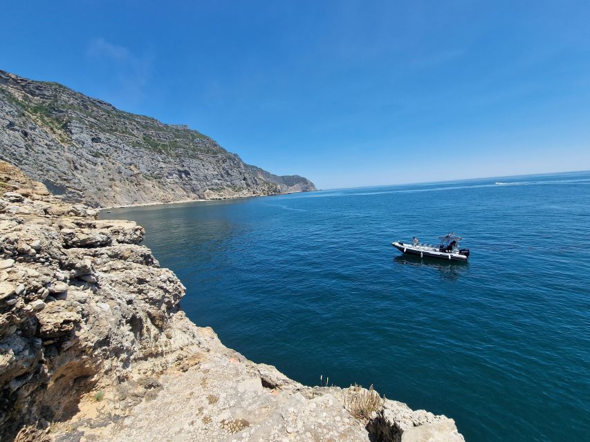 Dolphin Watching: Sesimbra / Arrábida Natural Park - Exceptional Natural Landscape