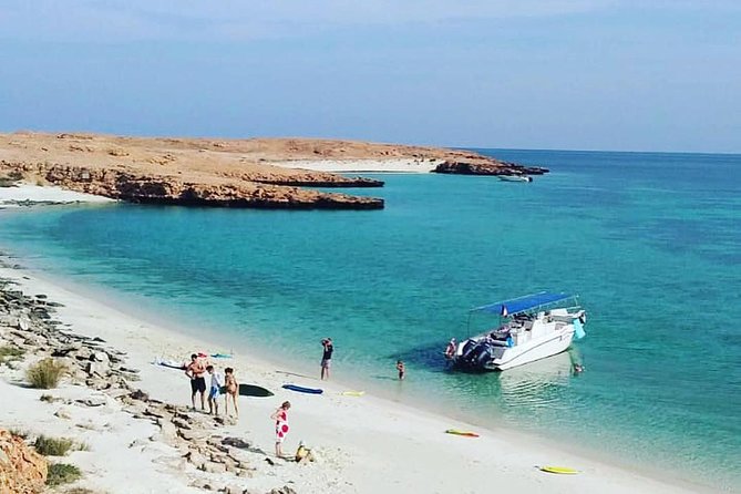 Dolphin Watching & Snorkeling - Good To Know