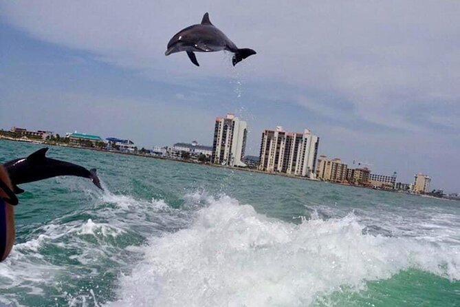 Dolphin Watching Sunset Cruise - Preparing for the Sunset Cruise
