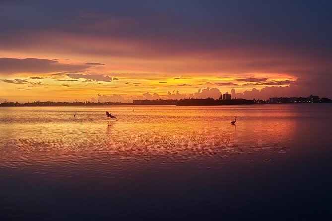 Dolphin Watching Sunset Cruise - Questions About Your Stay