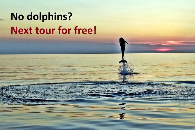 Dolphin Watching Sunset Speedboat Tour with Drinks in Rovinj - The Drinks and Atmosphere