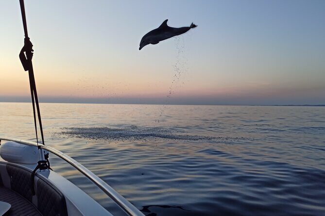 Dolphin Watching Sunset Speedboat Tour with Drinks in Rovinj - Authentic Reviews
