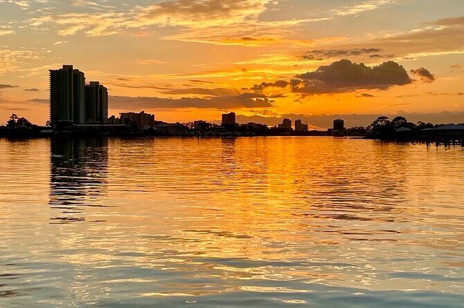 Dolphin Watching Tour in Orange Beach - The Experience: What to Expect on The Pink Boat