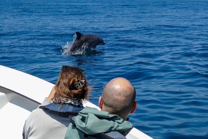 Dolphin Watching with Biologist in Arrábida Natural Park - An In-Depth Look at the Experience