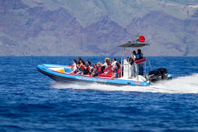Dolphin - Whale - Turtle - Bird Watching - Inclusions and Exclusions