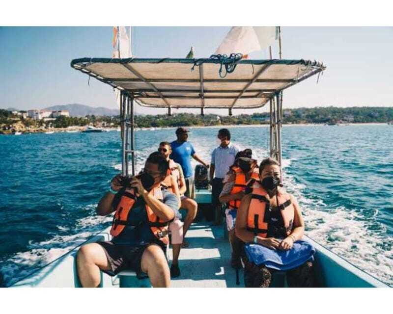 Dolphins and whales watching in Puerto Escondido. - Key Points