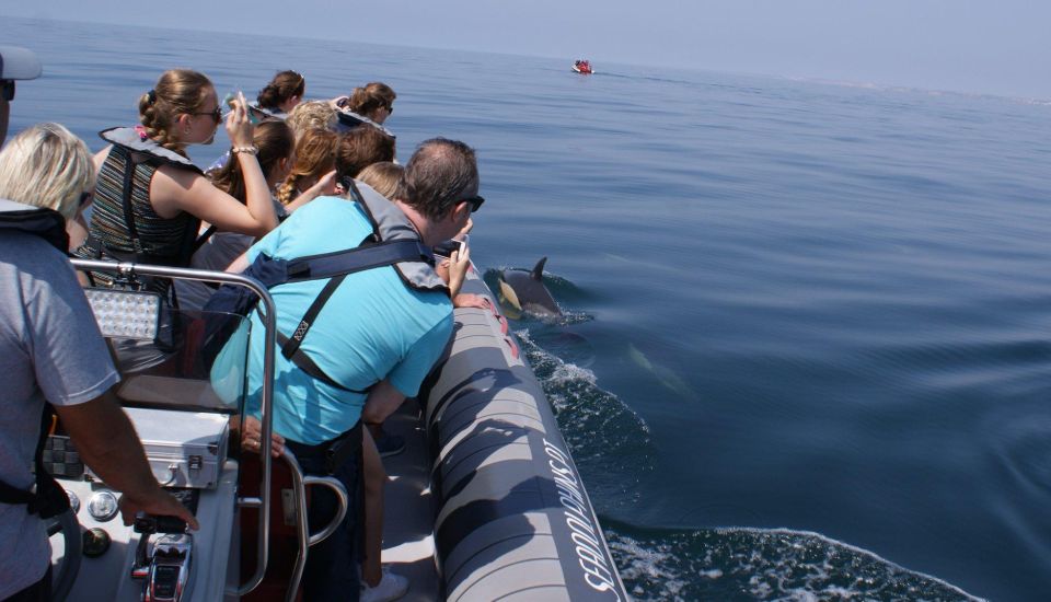Dolphins Watching - Portimão - Inclusions and Restrictions
