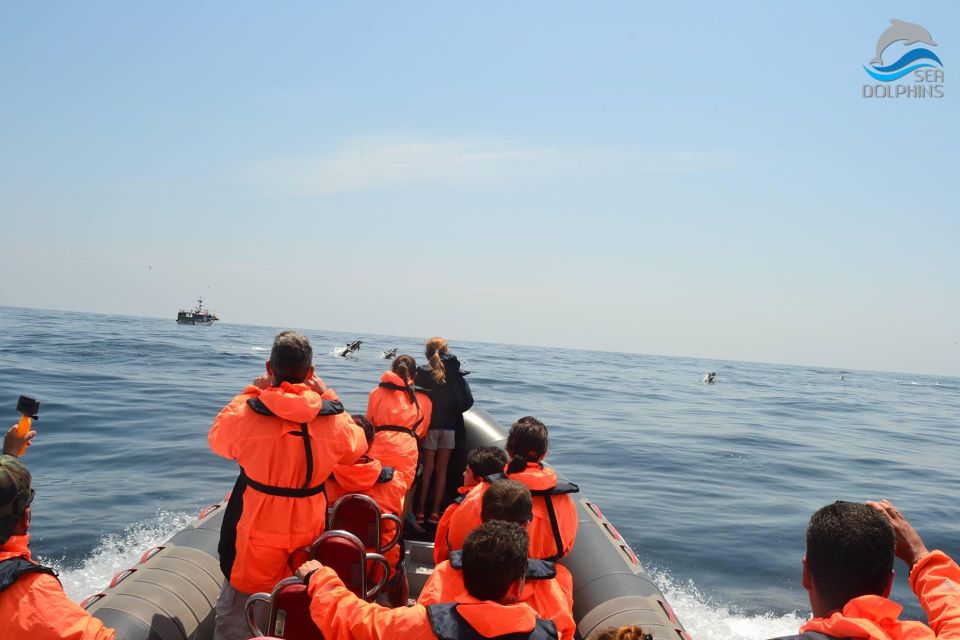 Dolphins Watching - Portimão - Flexible Travel Arrangements