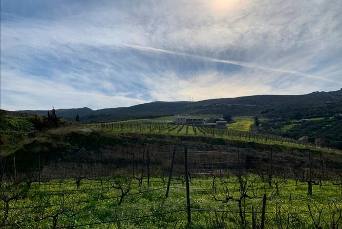 Domaine Paterianakis Organic Wine Tasting - Premium Wines Paired With Delicacies